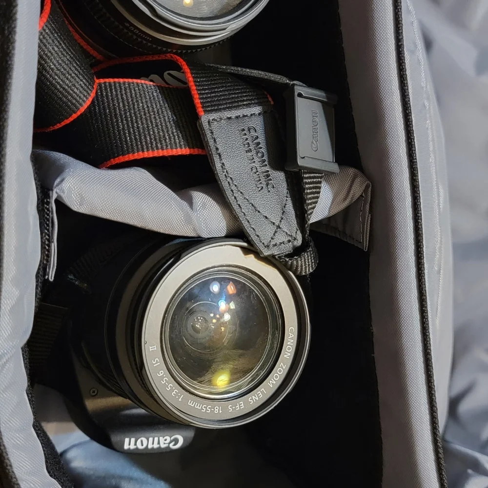 Canon EOS Rebel T5 - Picture 11 of 11
